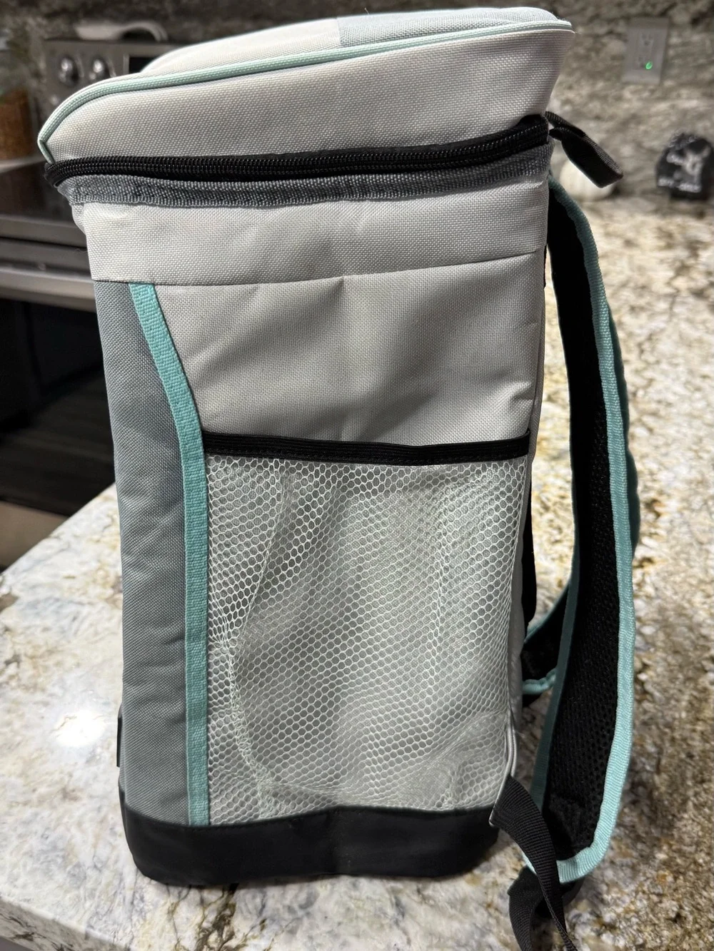 Olli, Insulated, Backpack, Ice, Chest, Holds, 18, Cans